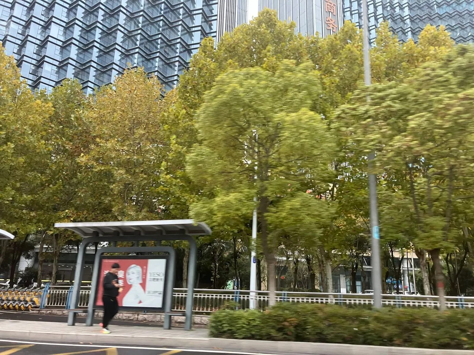 An autumn street photographed through the window on a trip to Hefei